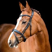 Montar Normandie hoofdstel zwart